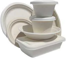 10” 3 Comp Bagasse Plates 8 Pack 1X1